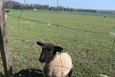 Obrázek č.9